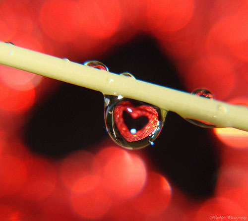 Hole In My Heart