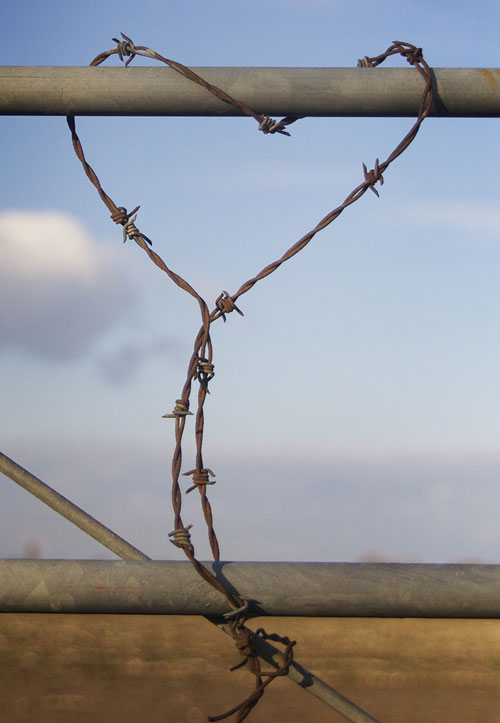 Rusty Heart