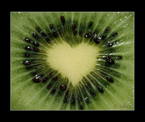 kiwi love