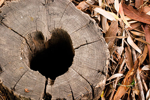 stump