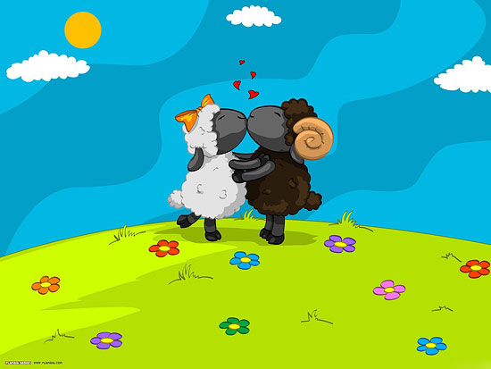 Lamb Love