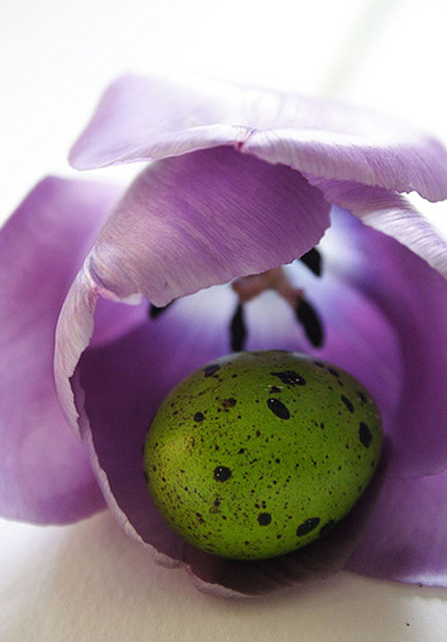 Easter egg