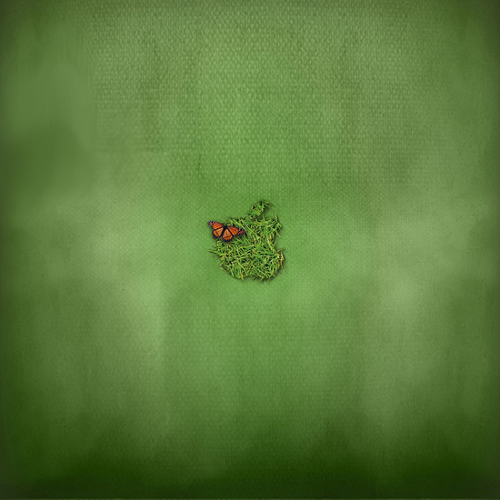 green ipad