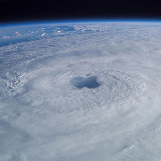 hurricane apple