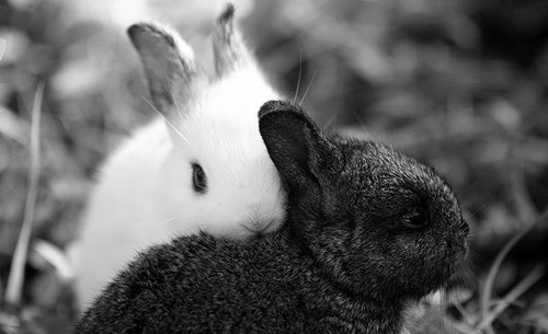 In B and W