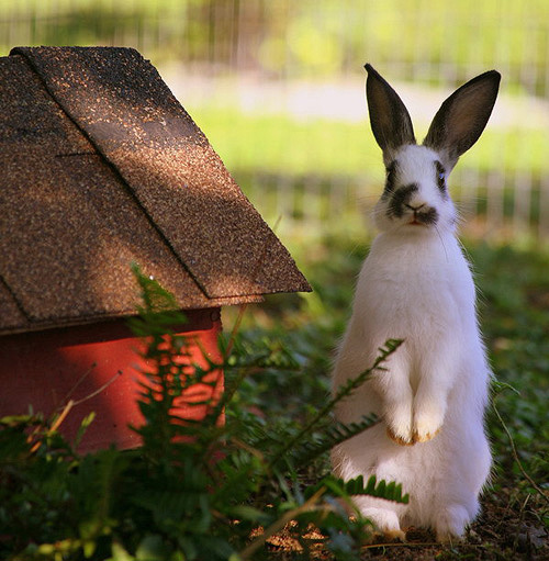 Stand guard