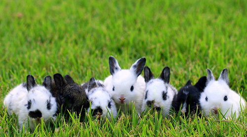 7 troublemakers